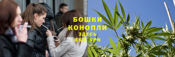 гидропоника Алзамай
