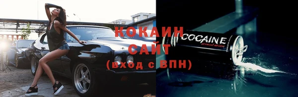 ешки Алексин