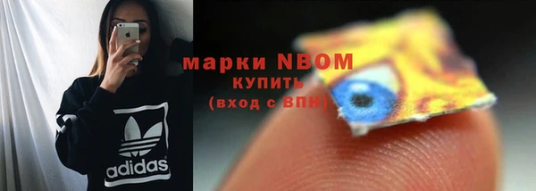 ешки Алексин