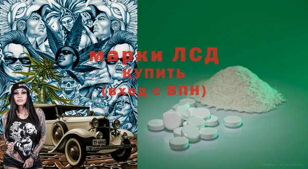 гидропоника Алзамай