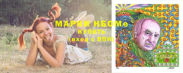ешки Алексин