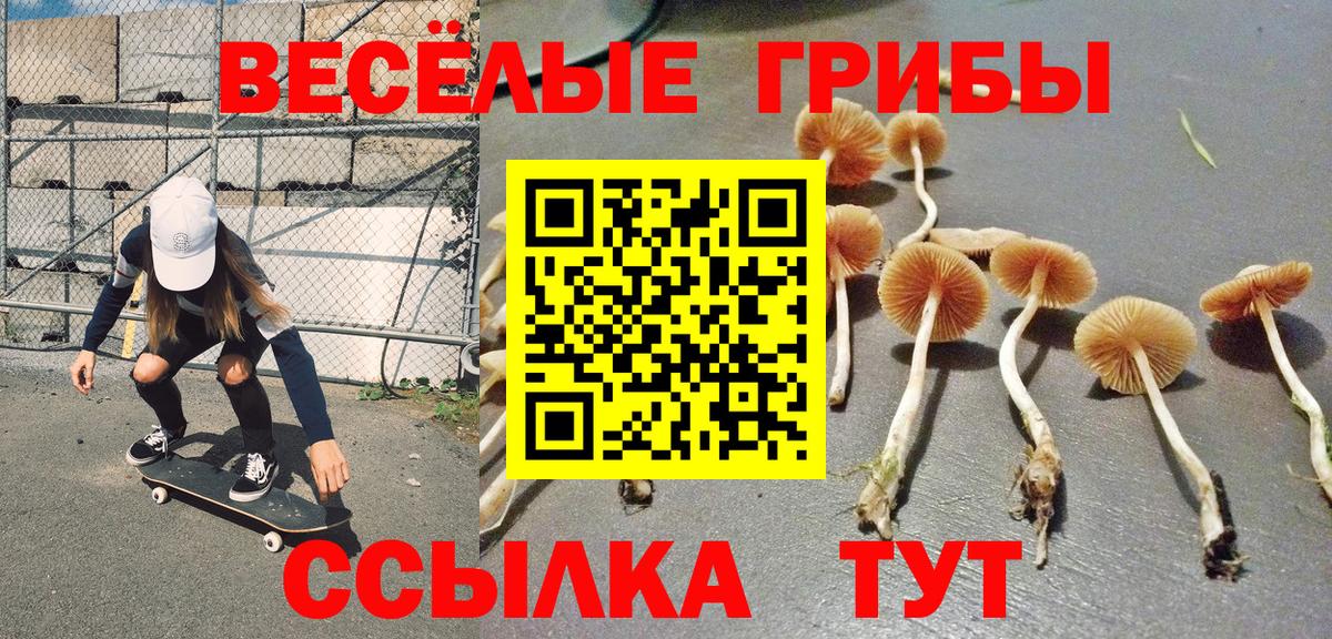 Североуральск  Псилоцибиновые грибы ЛСД  Вход с VPN 