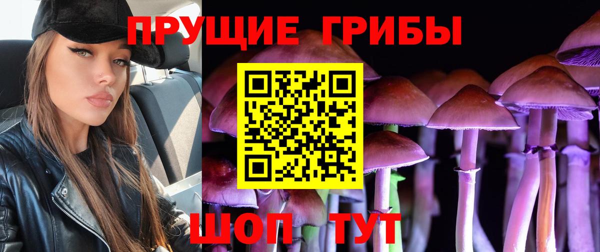 Галлюциногенные грибы Cubensis Североуральск